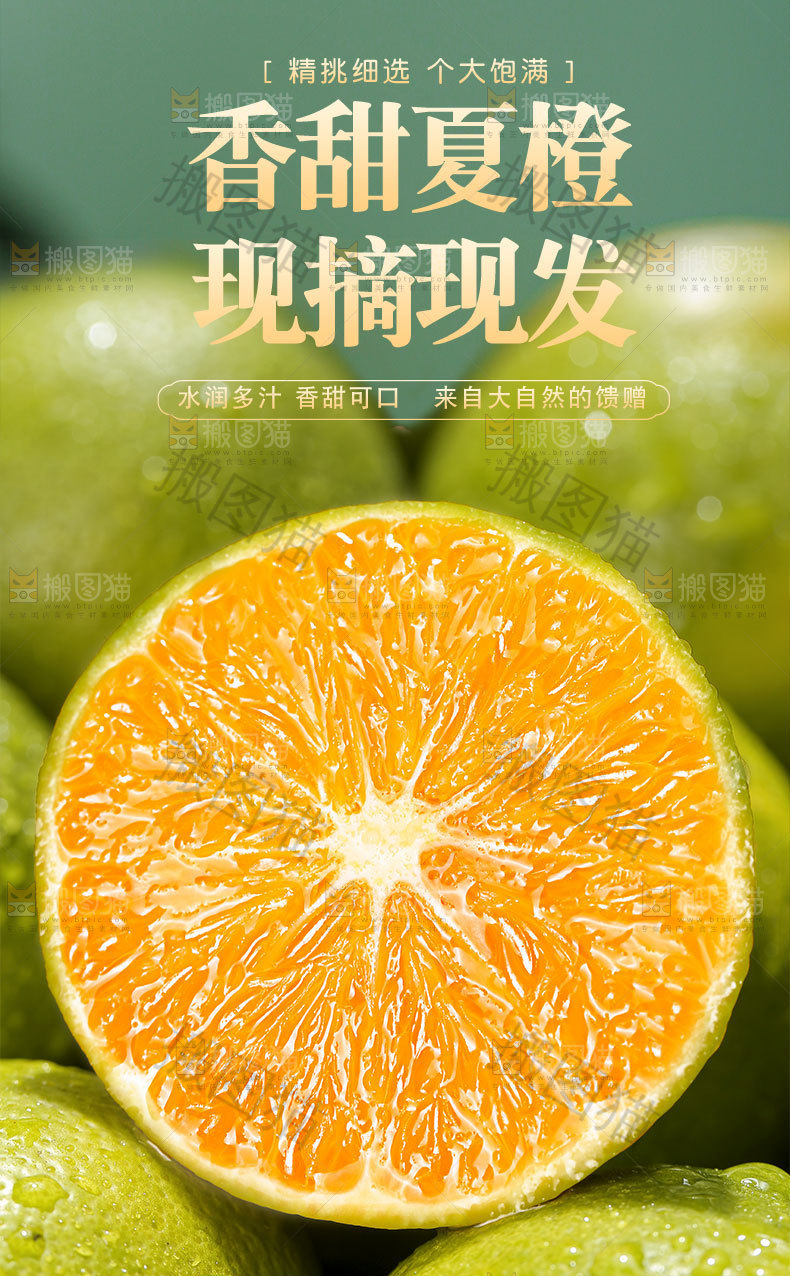 香甜夏橙详情页