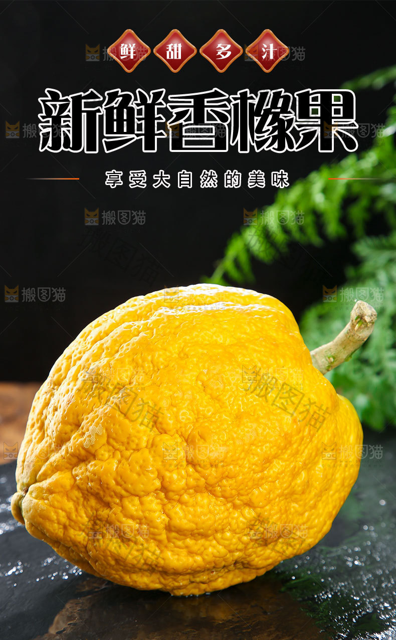 新鲜香橼果详情页