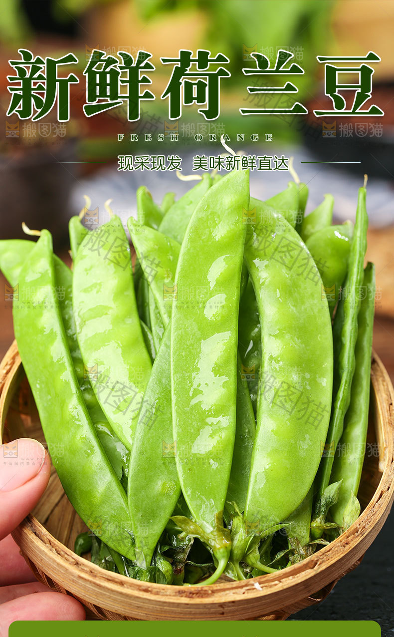 新鲜荷兰豆详情页