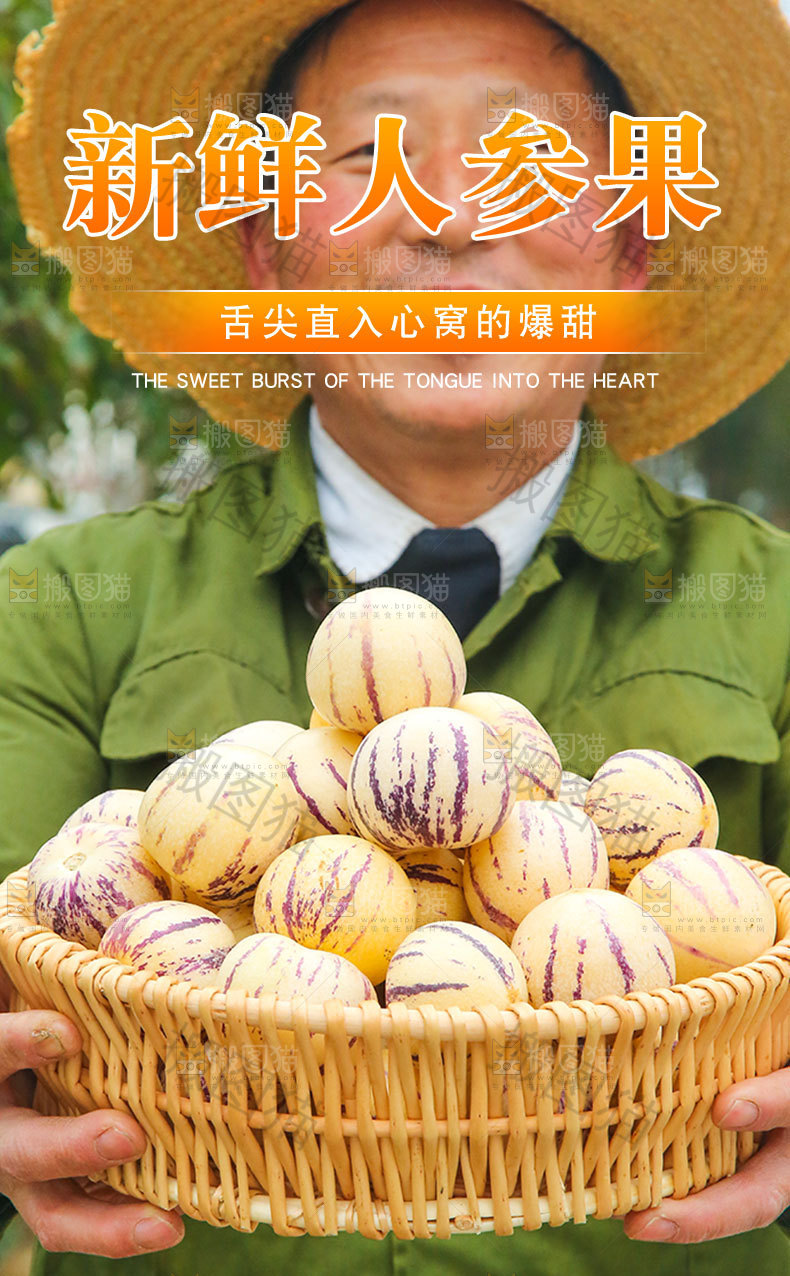 新鲜人参果详情页