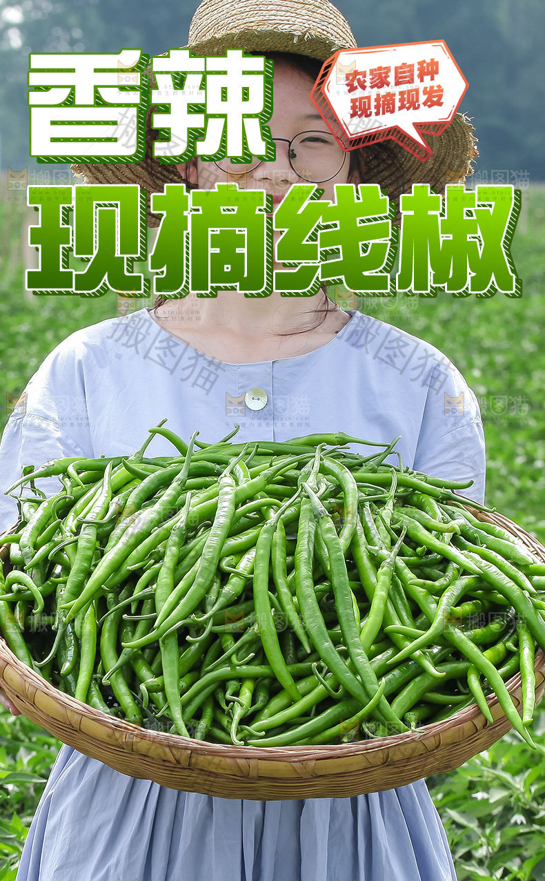 新鲜线椒详情页