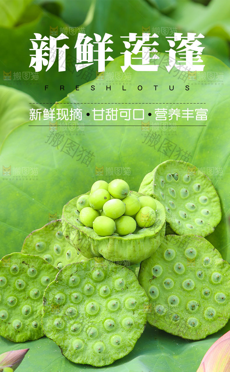 新鲜莲蓬详情页