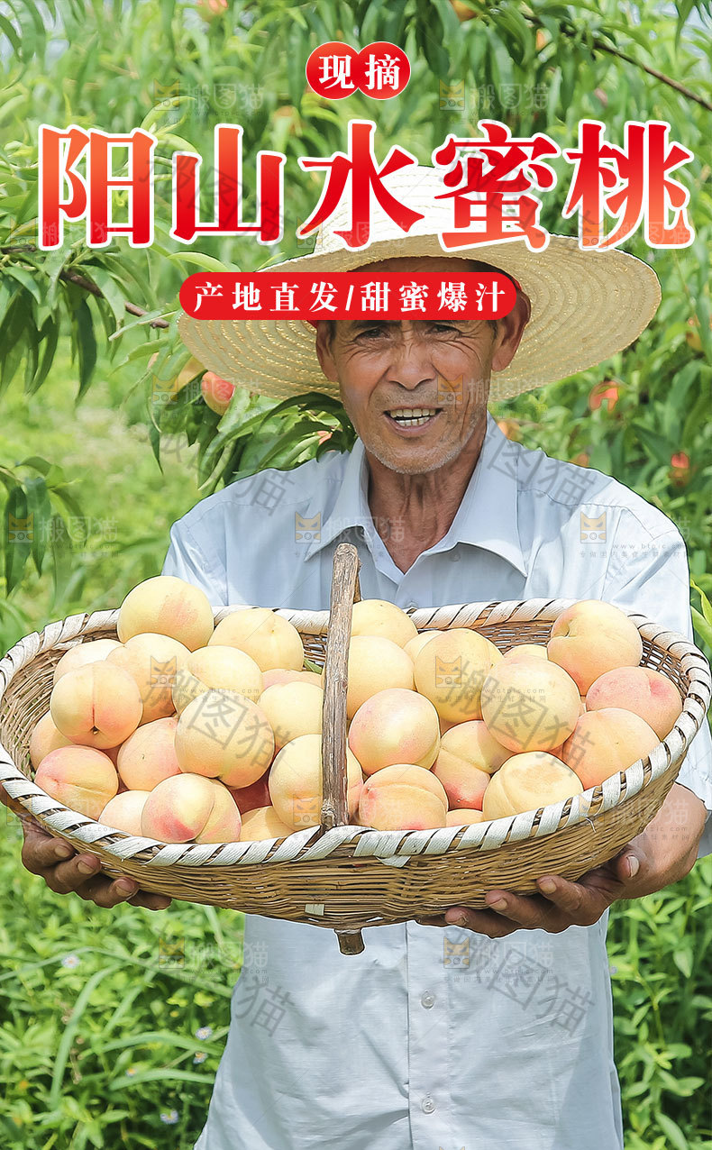 阳山水蜜桃详情页