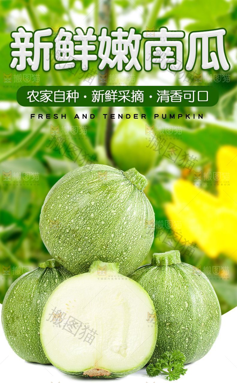 新鲜嫩南瓜详情页