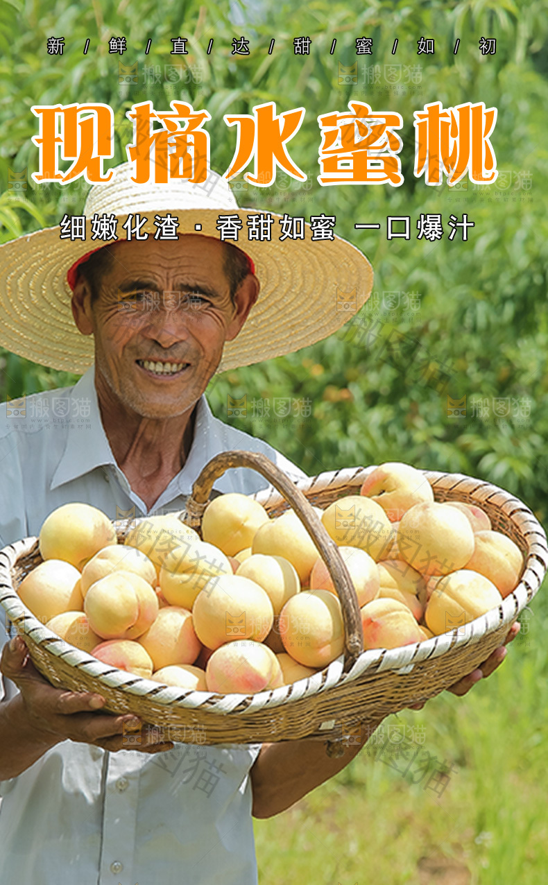 现摘水蜜桃详情页
