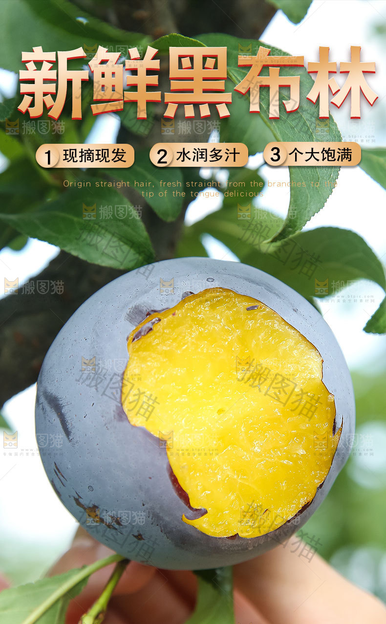 新鲜黑布林详情页