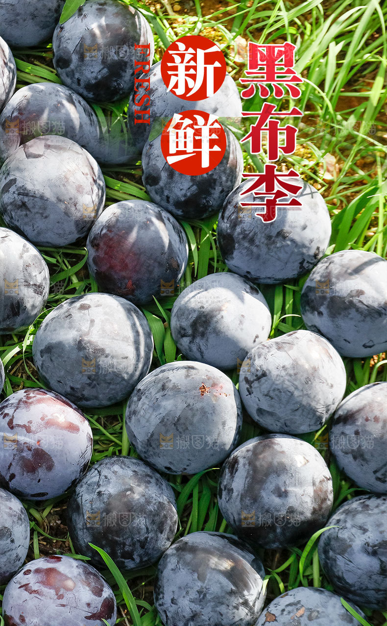 黑布李详情页