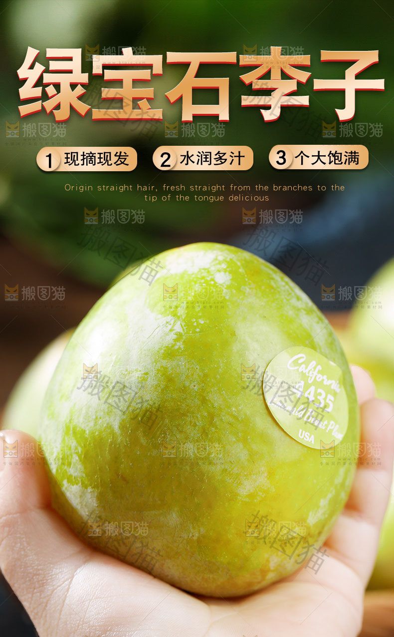 绿宝石李子详情页