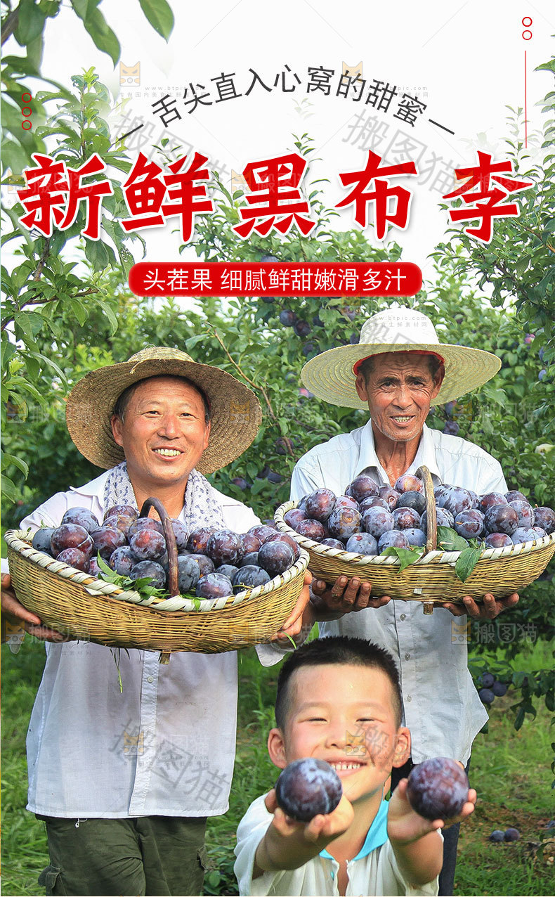 新鲜黑布林详情页