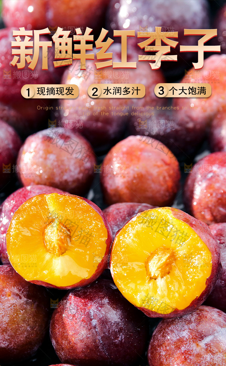 新鲜红李子详情页