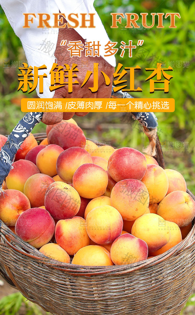 新疆小红杏详情页