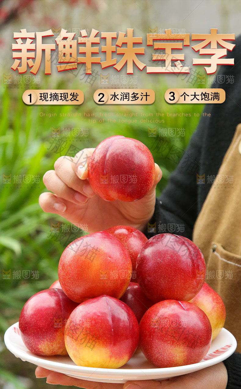 新鲜珠宝李详情页