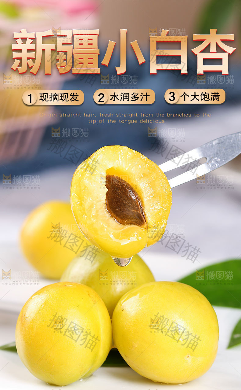 新疆小白杏详情页