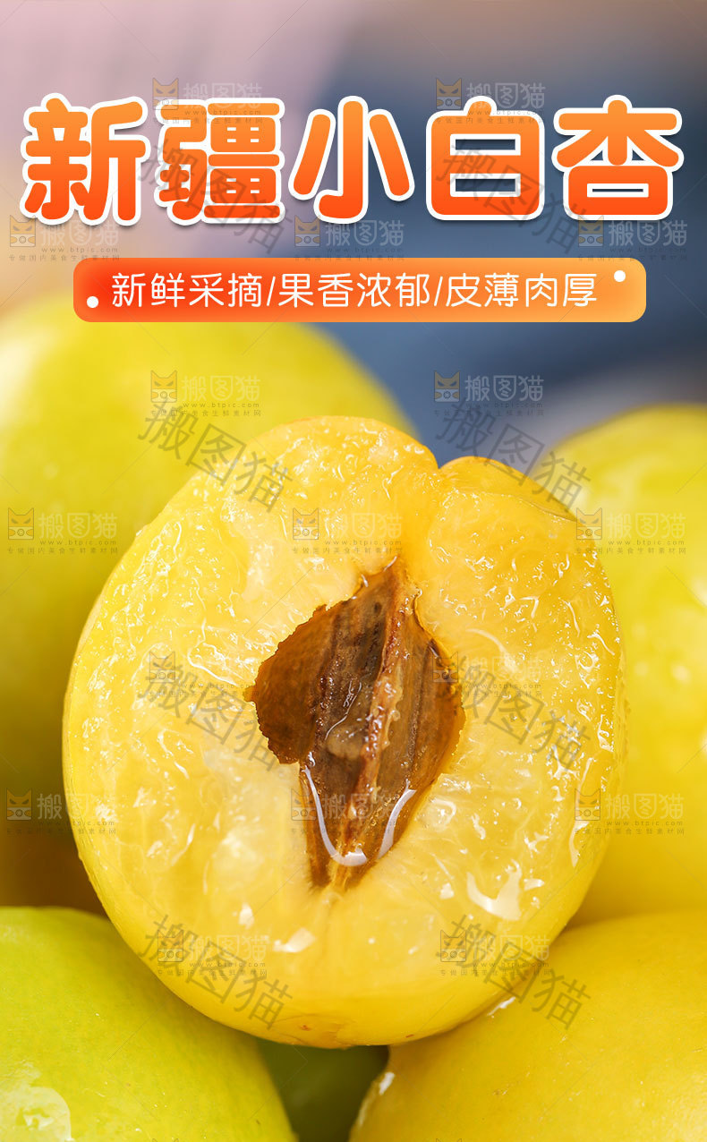 新疆小白杏详情页