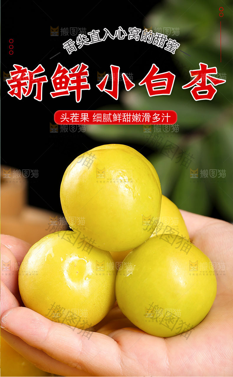 新疆小白杏详情页