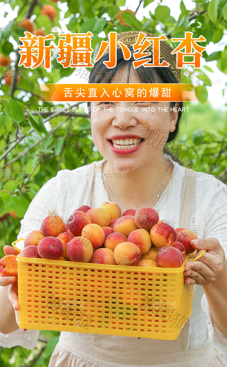 新疆小红杏详情页