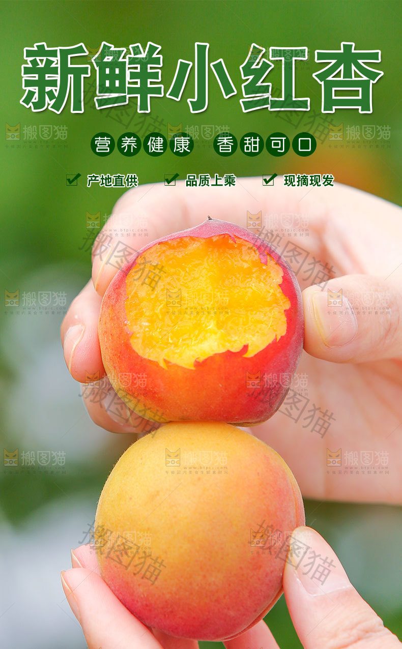 新鲜小红杏详情页