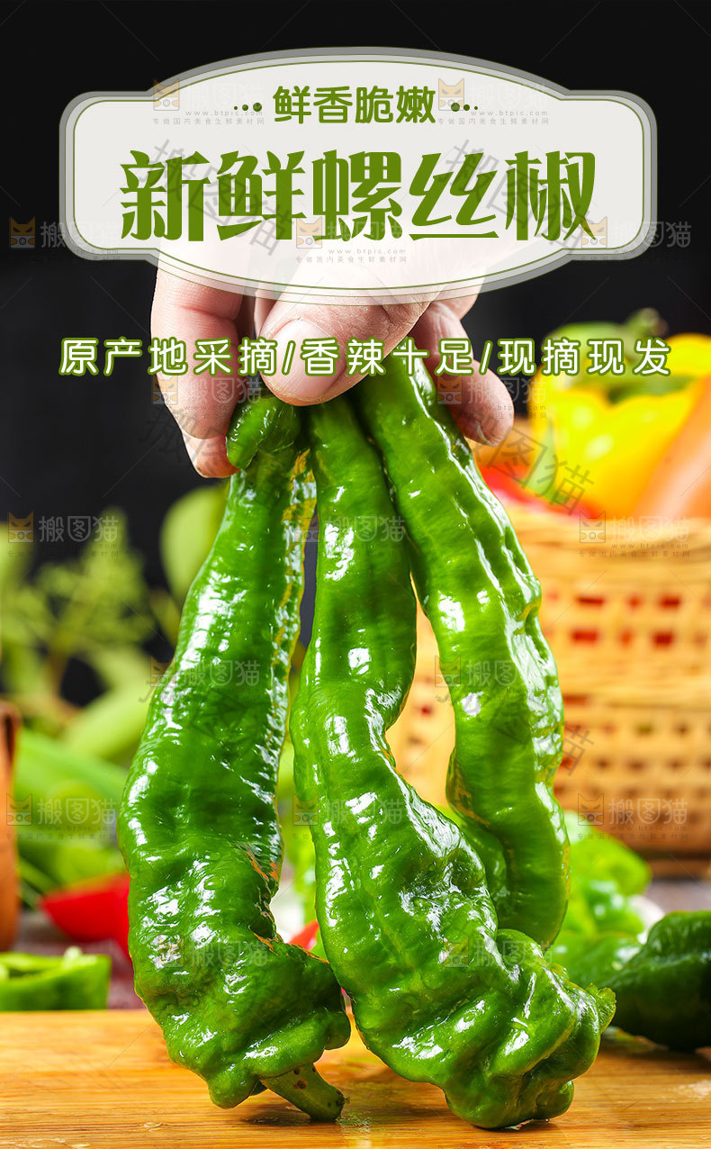 新鲜螺丝椒详情页