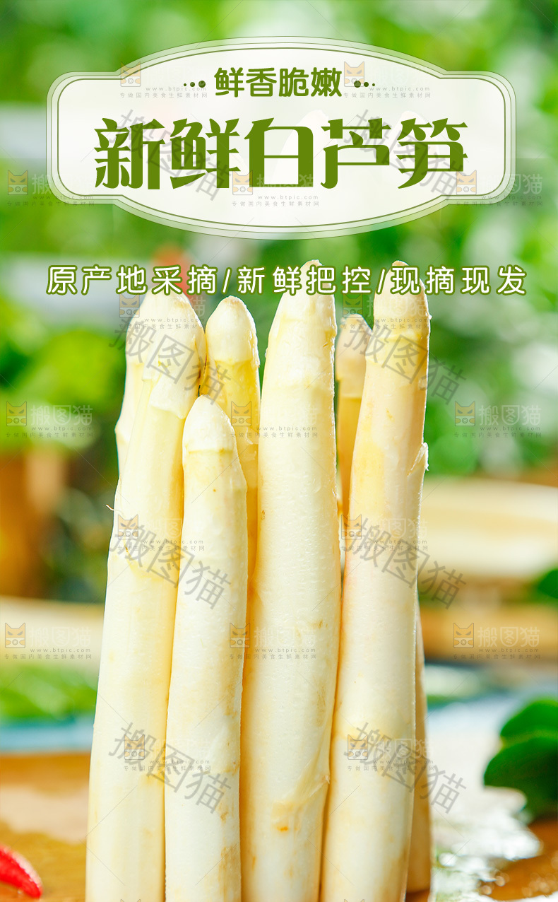 新鲜白芦笋详情页