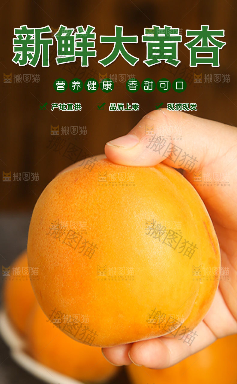 新鲜大黄杏详情页