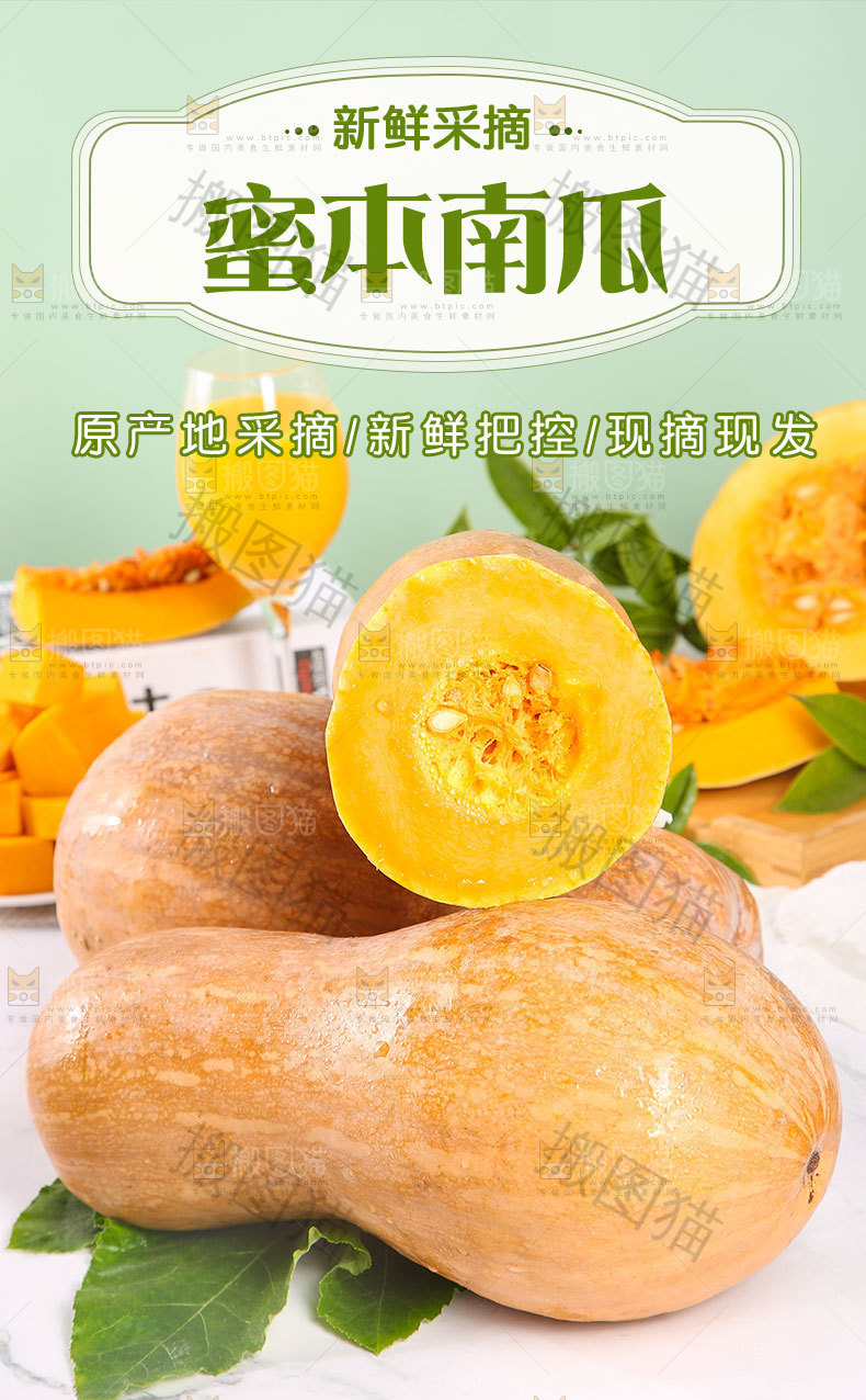 蜜本南瓜详情页