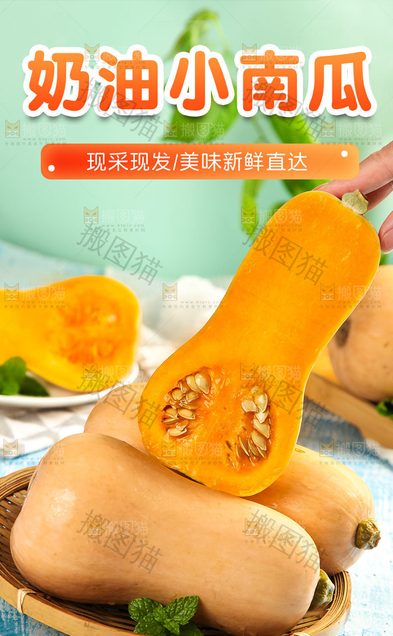 奶油小南瓜详情页