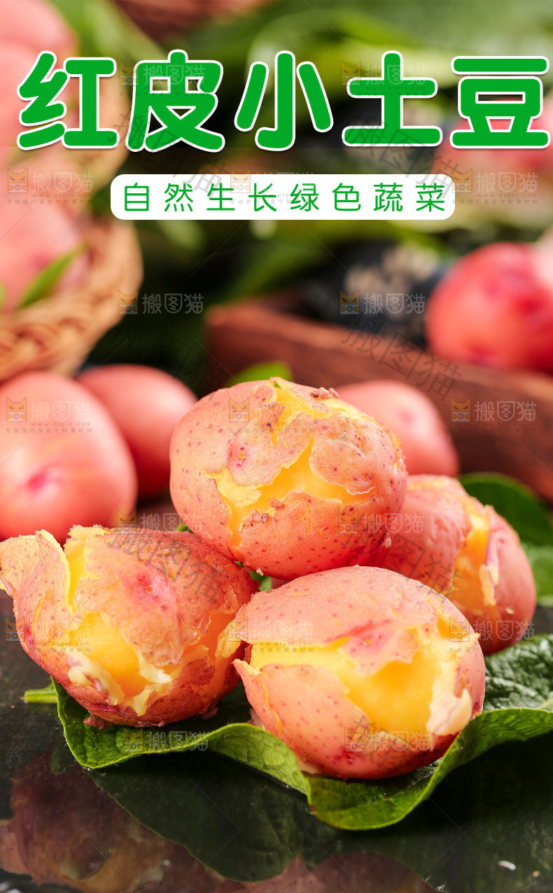 新鲜红皮土豆详情页