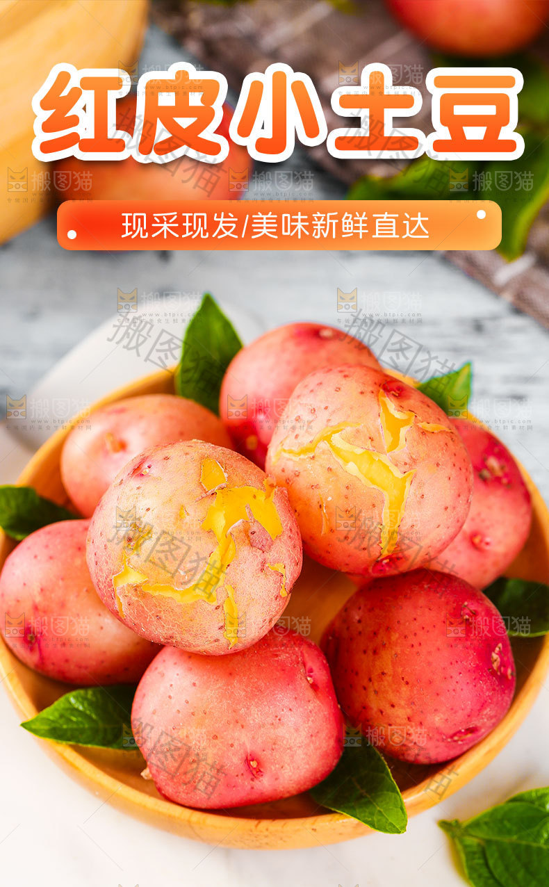 新鲜红皮土豆详情页