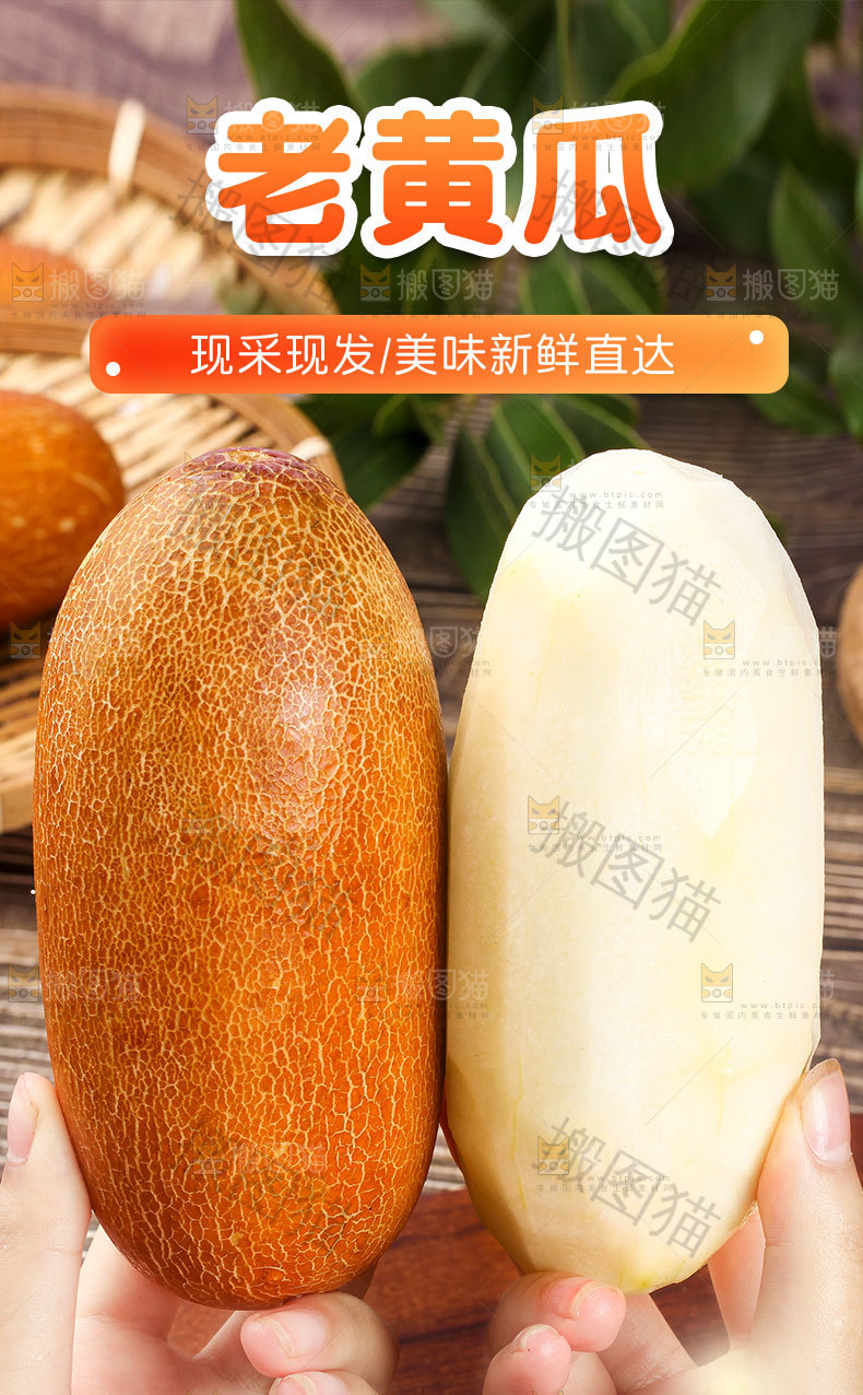 老黄瓜详情页设计