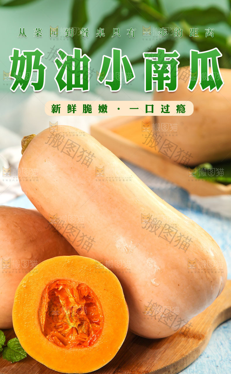 奶油小南瓜详情页