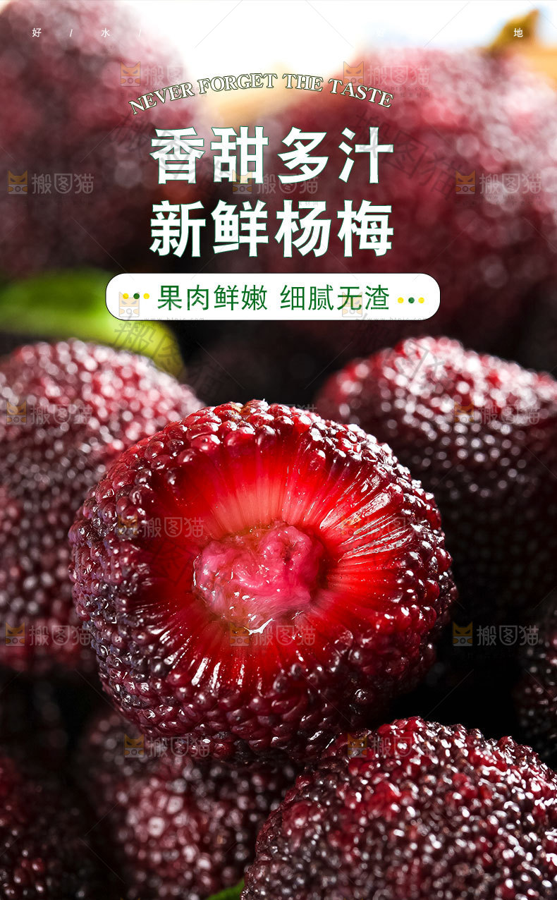 新鲜杨梅详情页