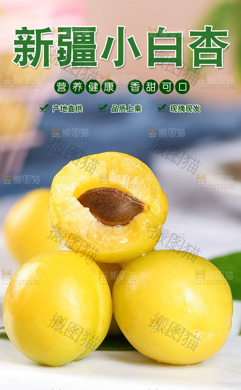新疆小白杏详情页