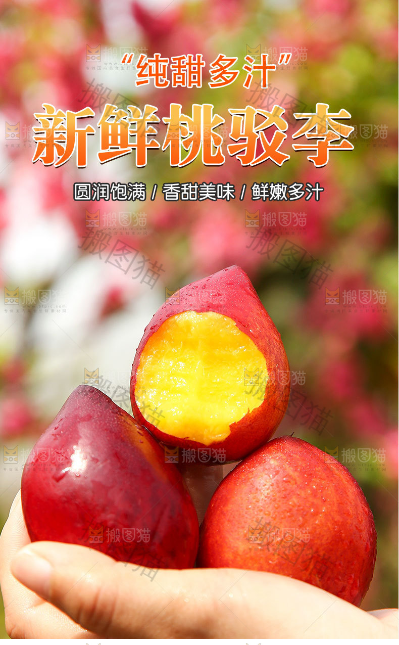 新鲜桃驳李详情页