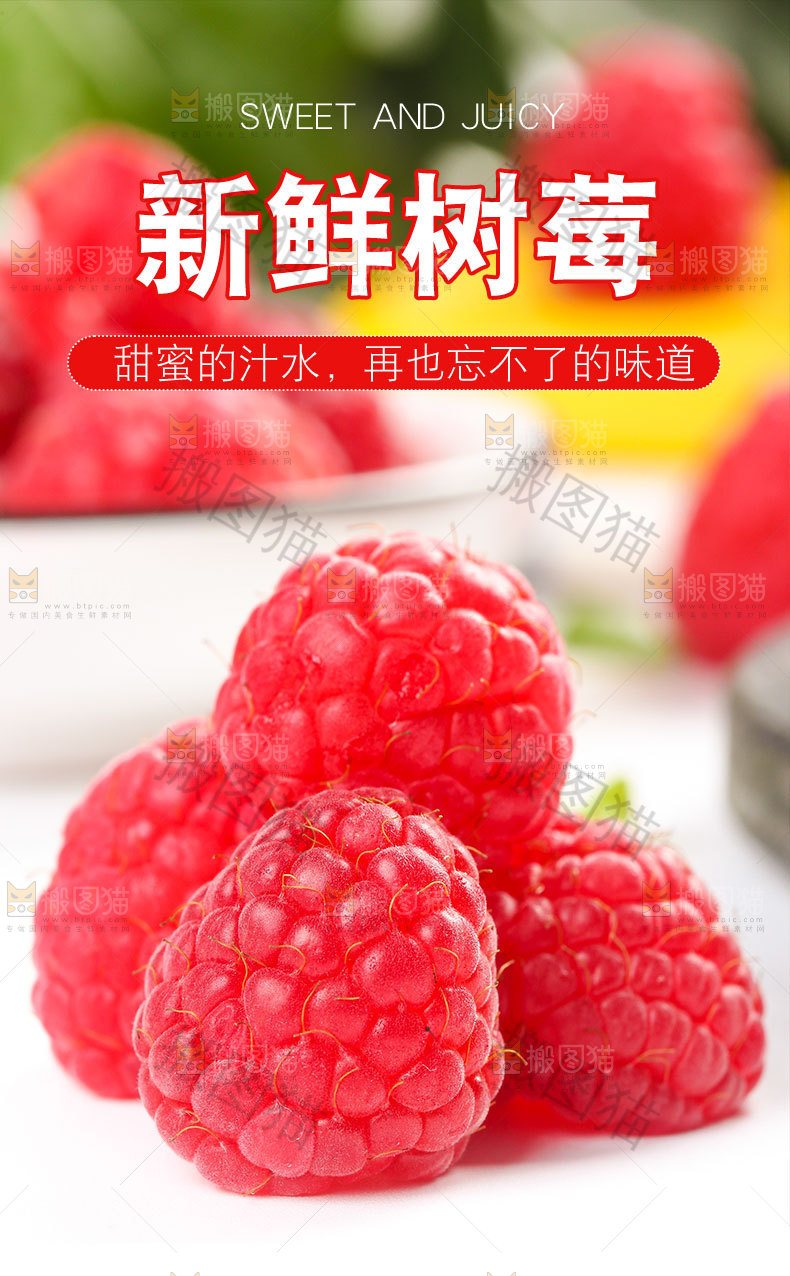 新鲜树莓详情页