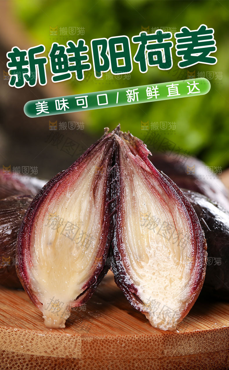 新鲜阳荷姜详情页