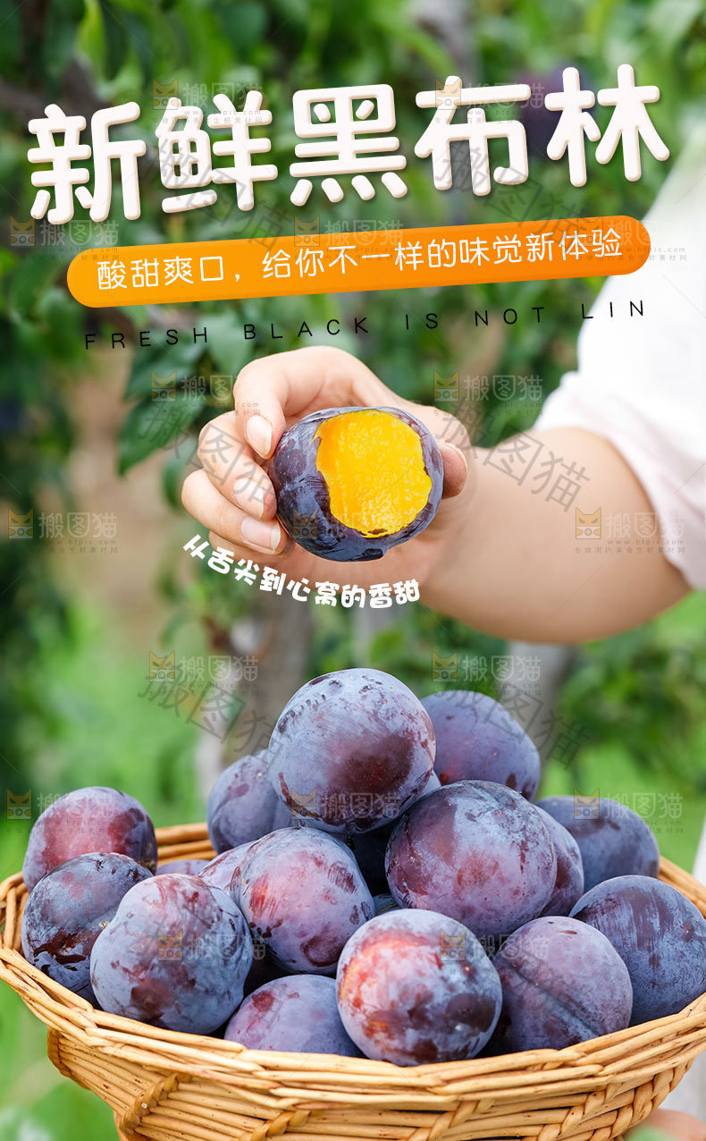 黑布林详情页
