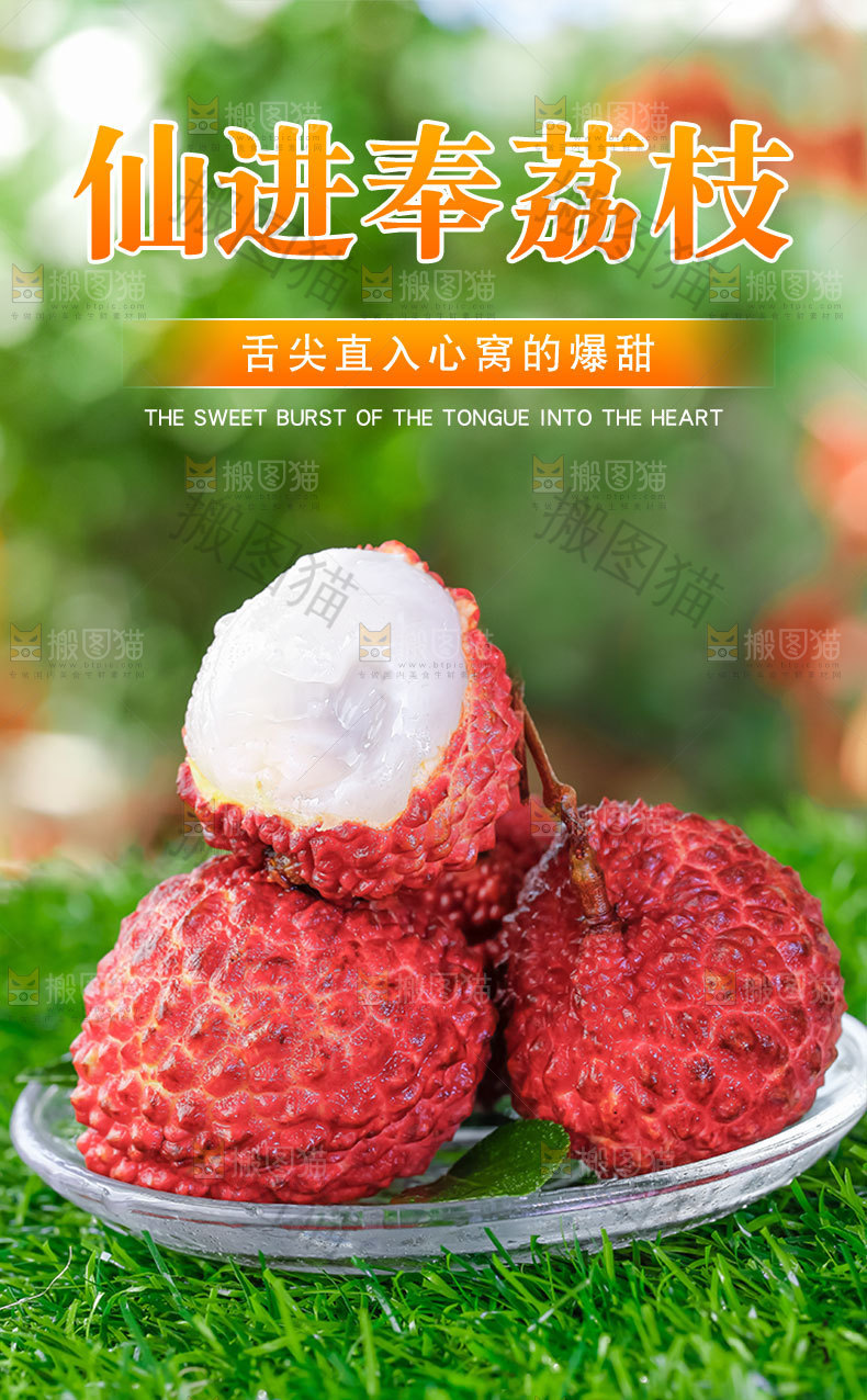 仙进奉荔枝详情页