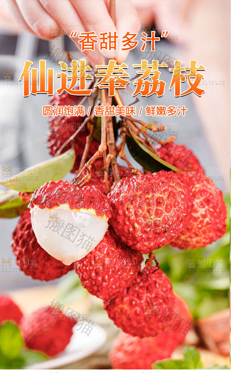 仙进奉荔枝详情页