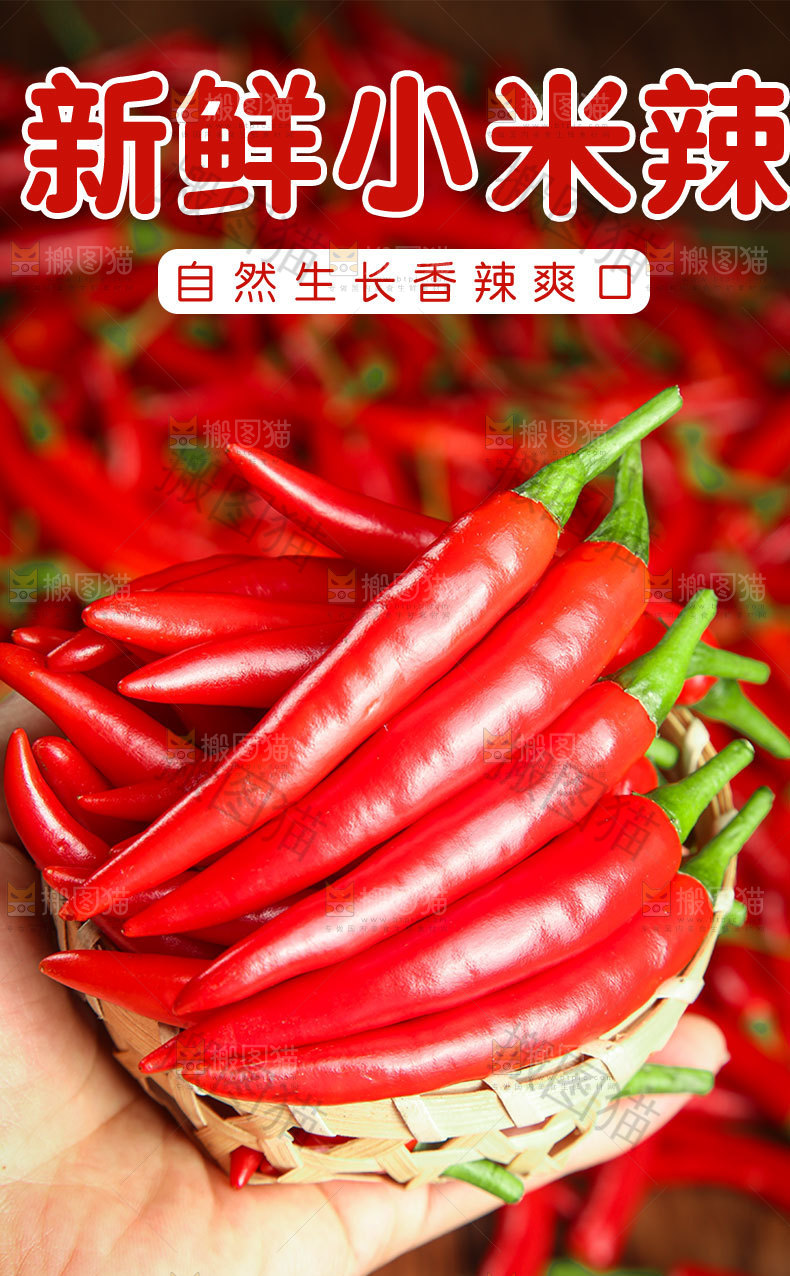 新鲜小米辣详情页