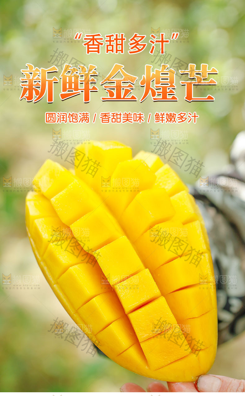 新鲜金煌芒详情页