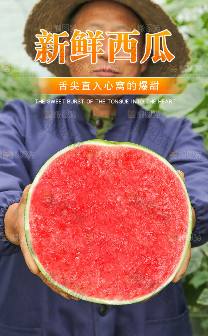 新鲜西瓜详情页