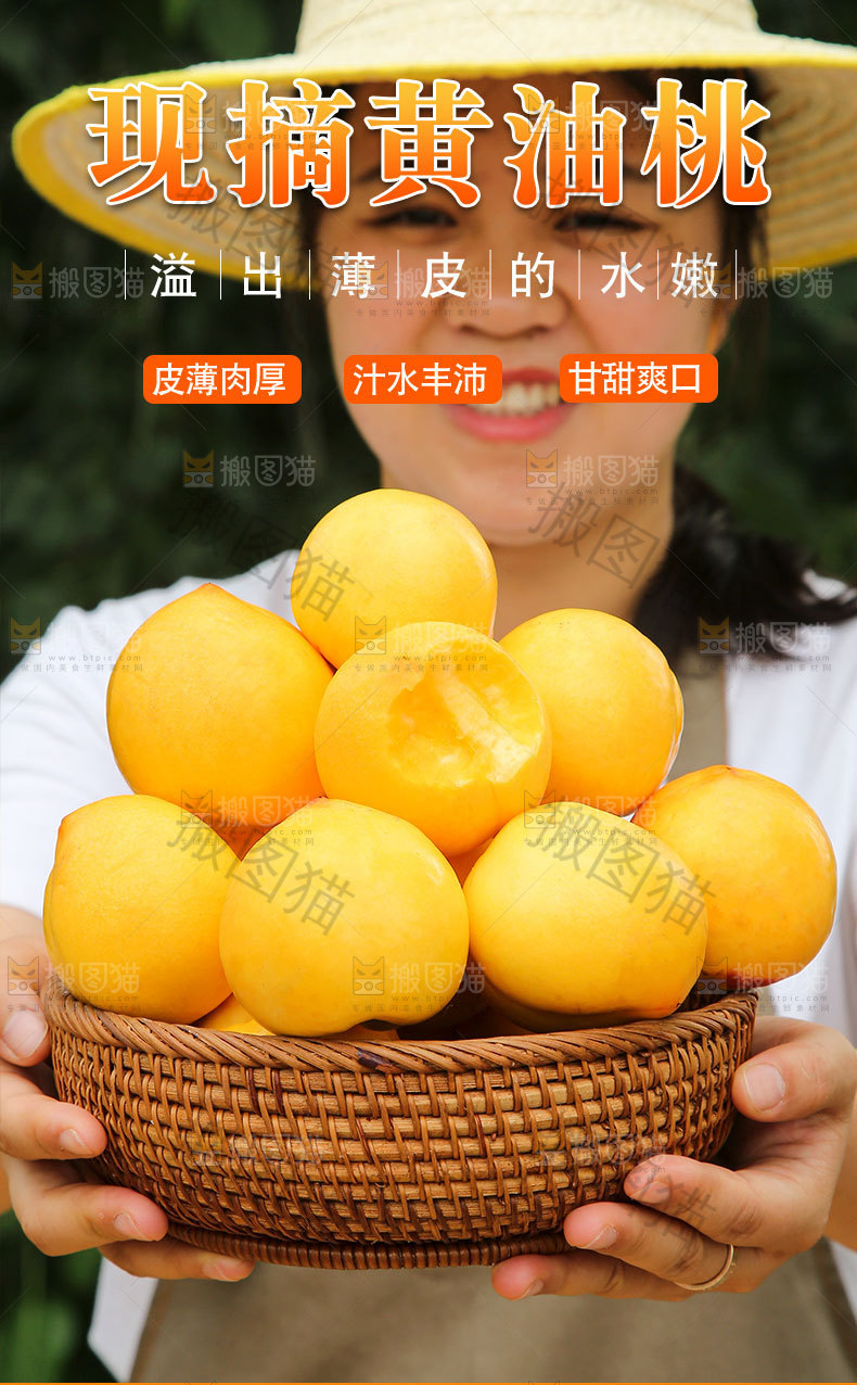 现摘黄油桃详情页