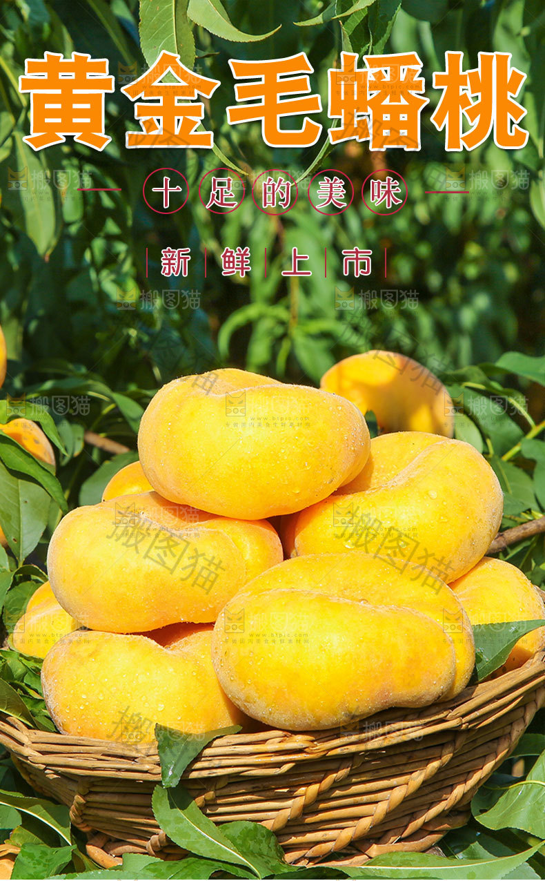黄金毛蟠桃详情页