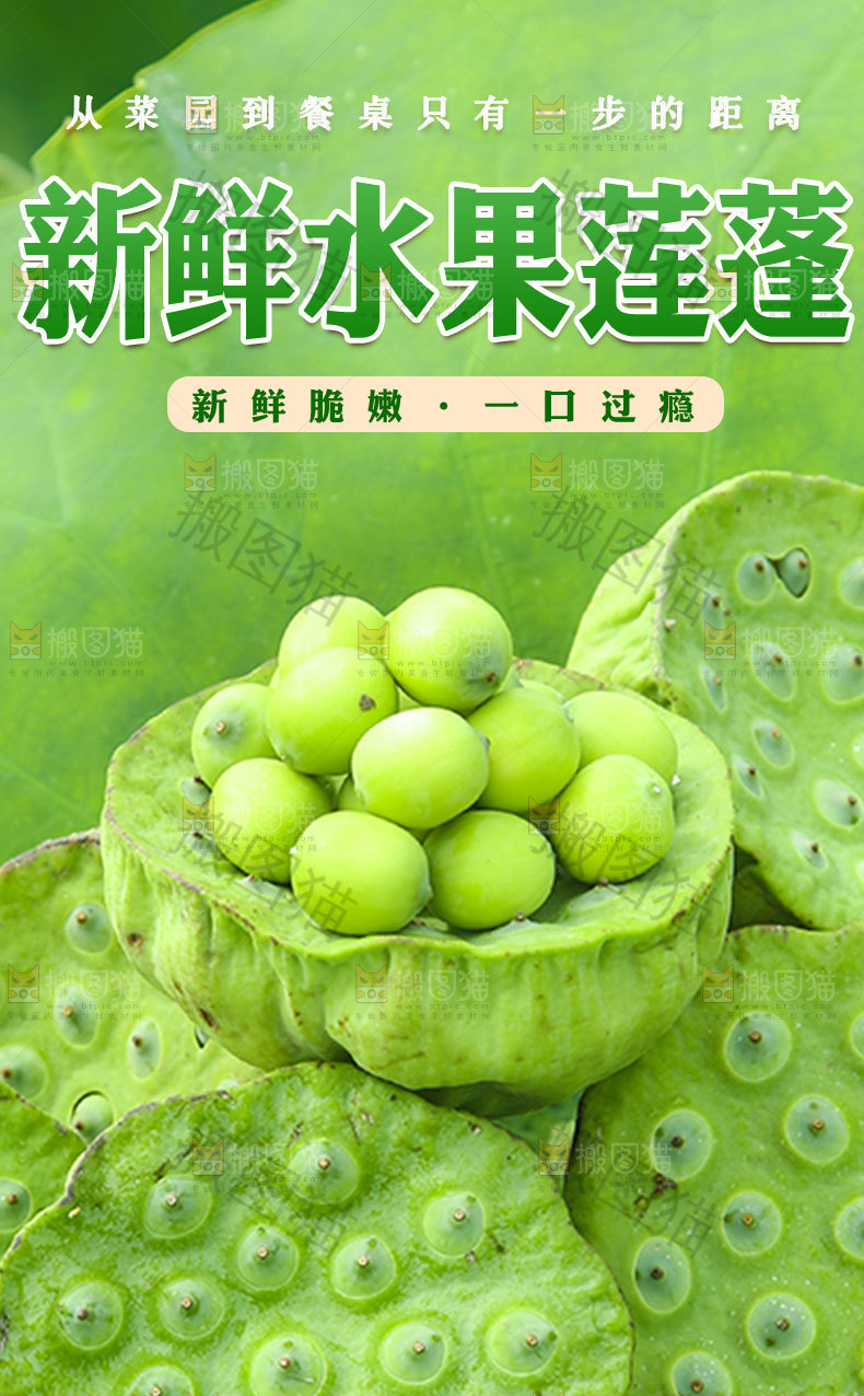 新鲜水果莲蓬详情页