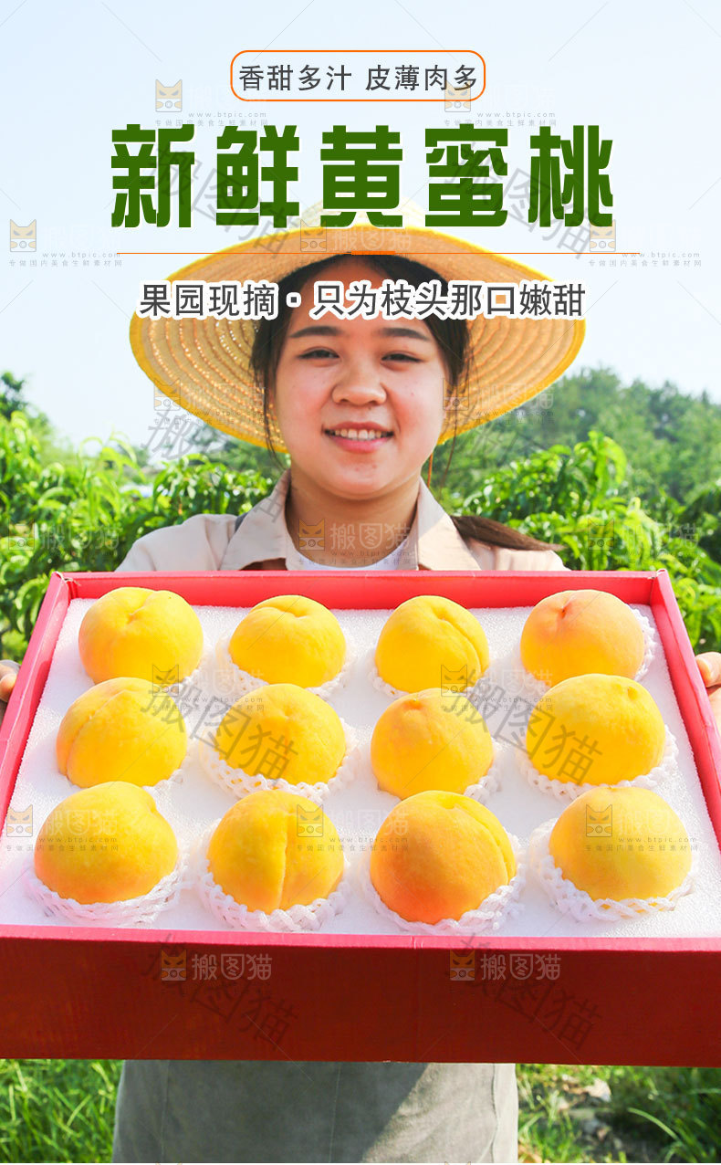 新鲜黄蜜桃详情页