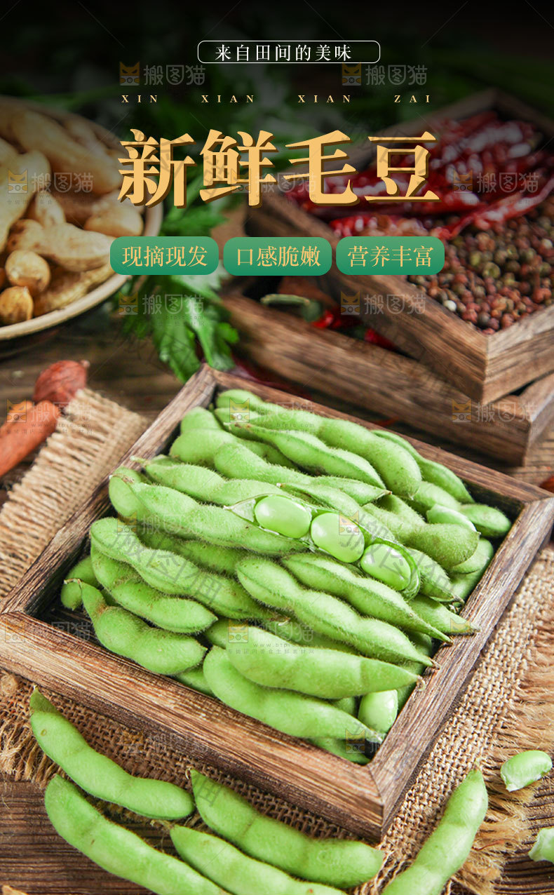 新鲜毛豆详情页