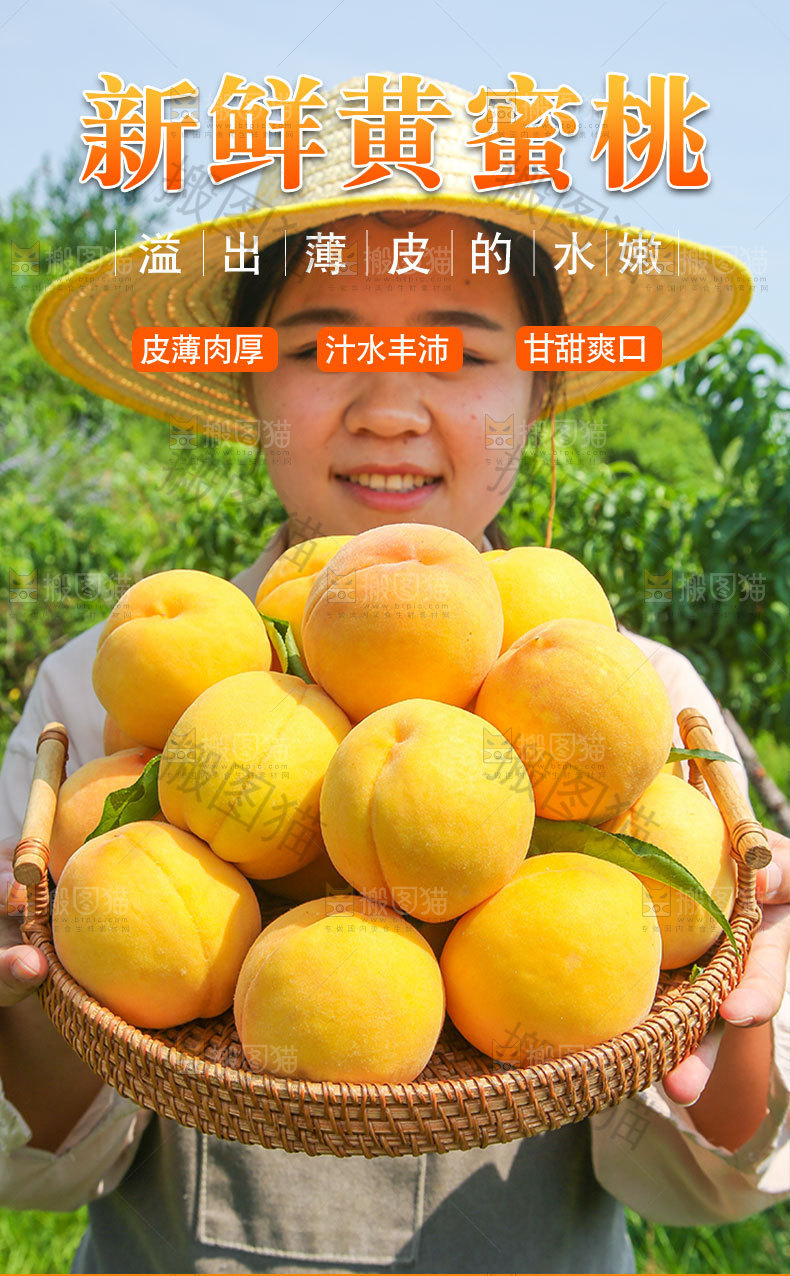 新鲜黄蜜桃详情页