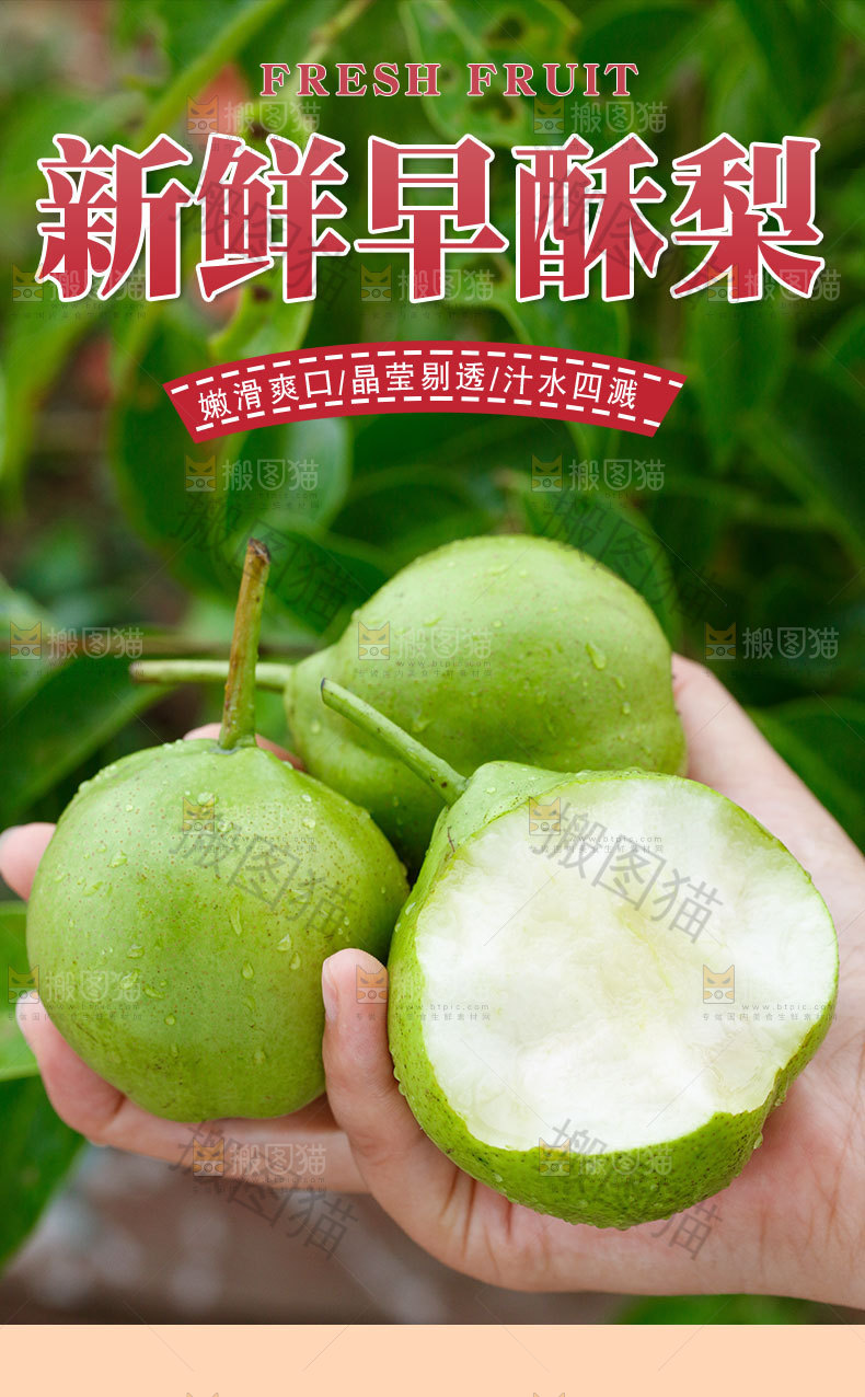 新鲜早酥梨详情页