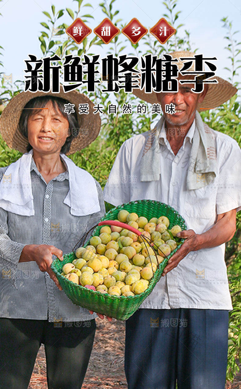 新鲜蜂糖李详情页