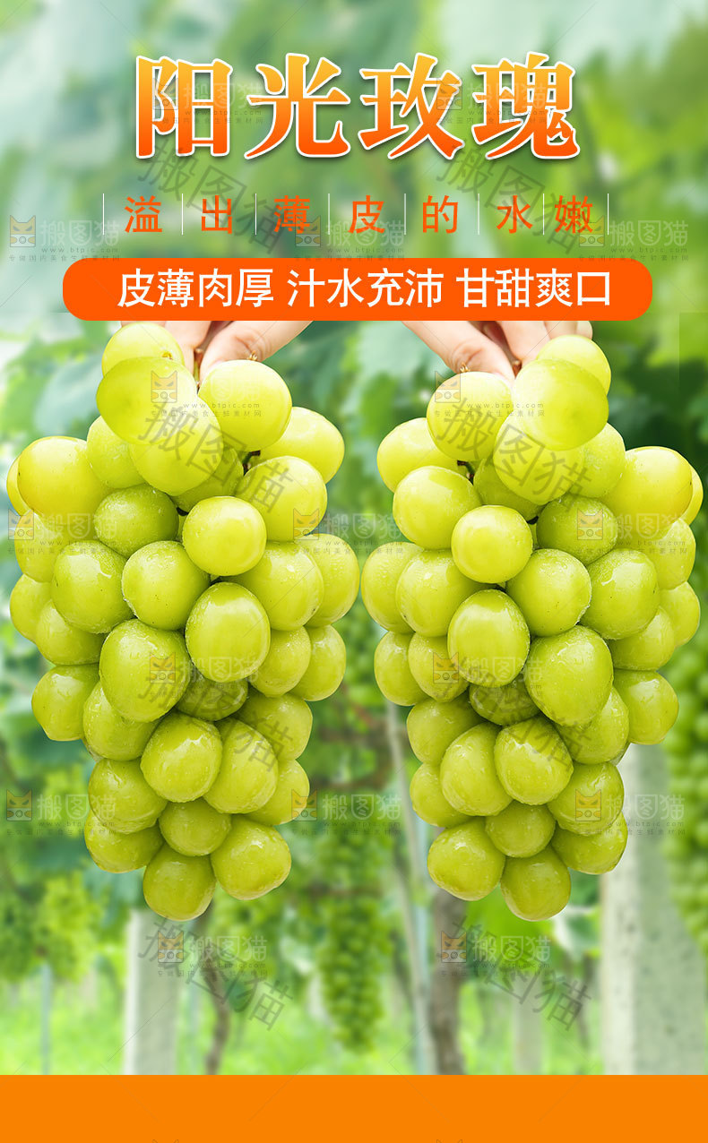 阳光玫瑰详情页